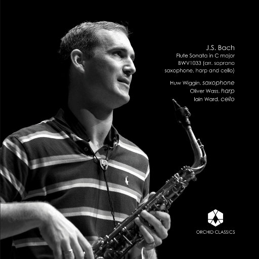 免费视频免费爱爱
